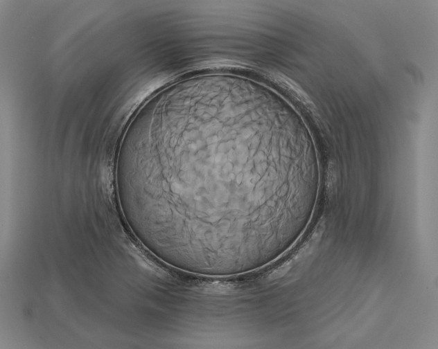 X0000115171321200911121731