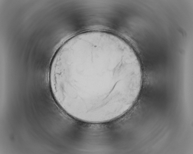 X0000115171322200911121731
