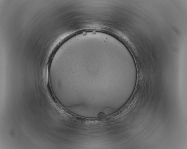 X0000115171323200911121731
