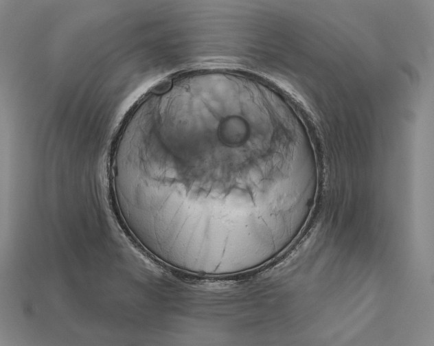 X0000115171325200911121731