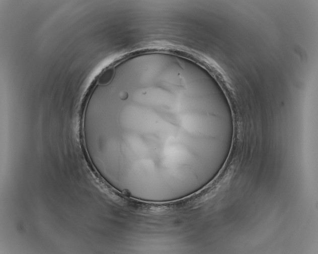 X0000115171326200911121731