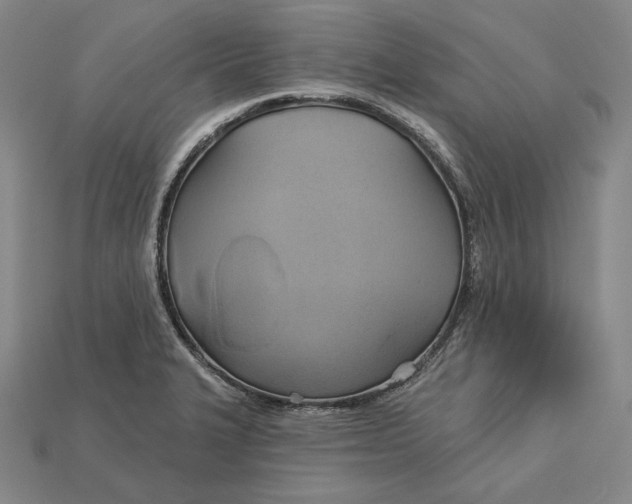 X0000115171327200911121731