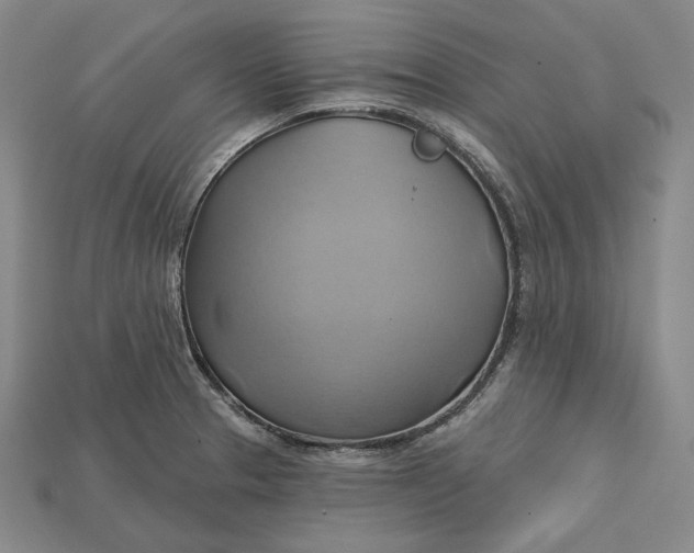 X0000115171329200911121731