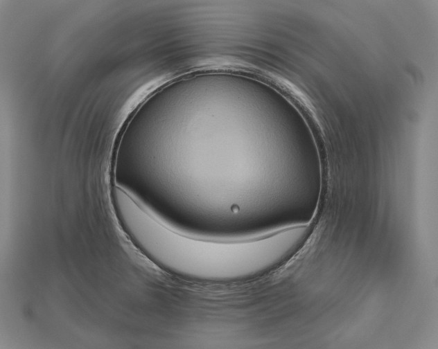 X0000115171330200911121731