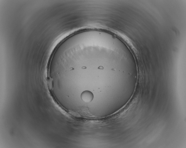 X0000115171335200911121731