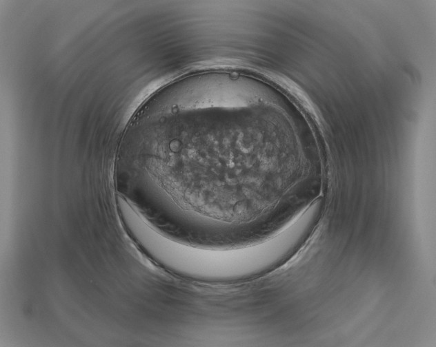 X0000115171337200911121731