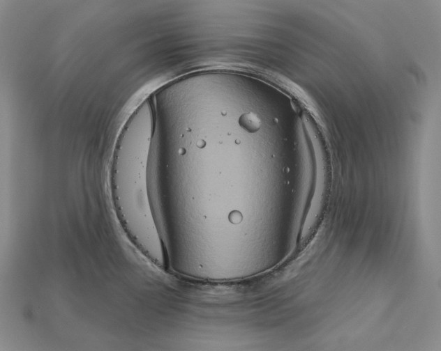 X0000115171338200911121731
