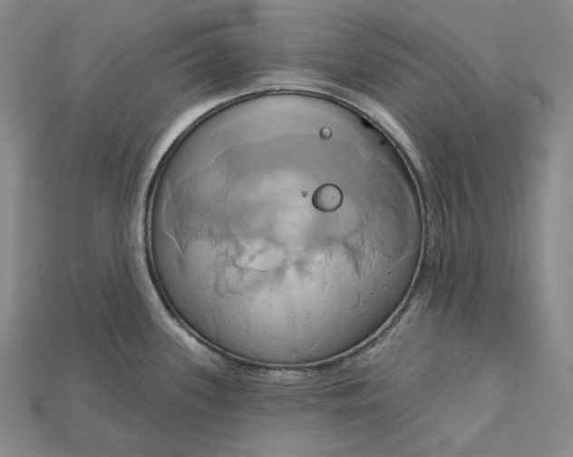 X0000115171339200911121731