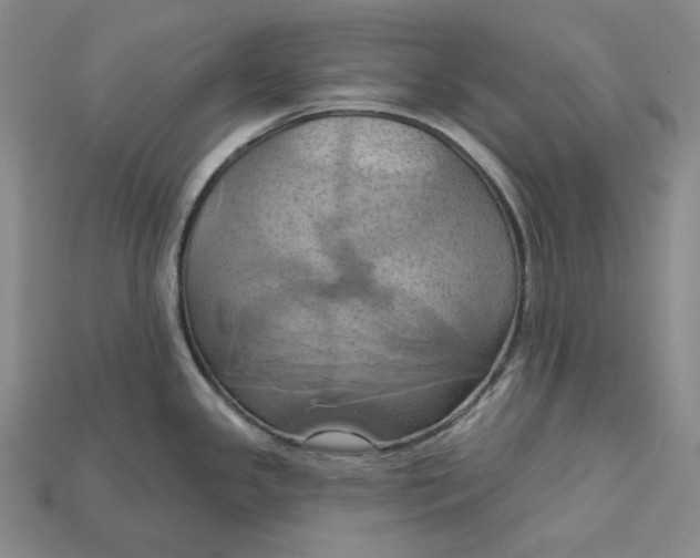 X0000115171341200911121731
