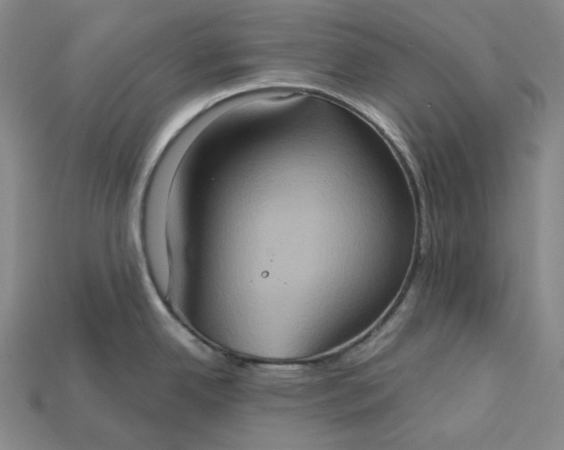 X0000115171342200911121731
