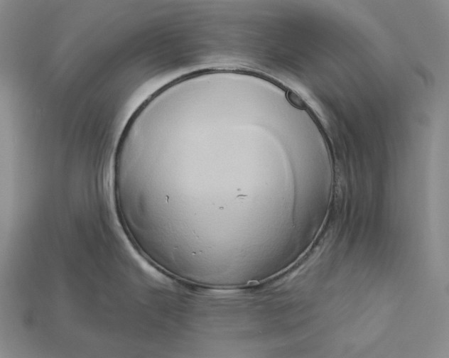 X0000115171343200911121731