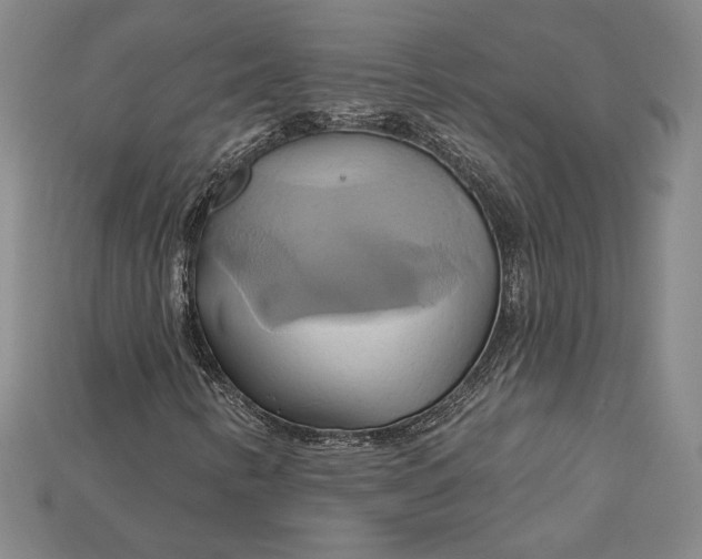 X0000115171346200911121730