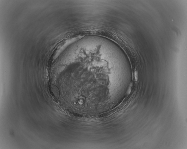 X0000115171347200911121730