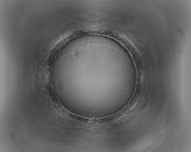X0000115171350200911121730