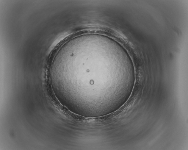 X0000115171352200911121730