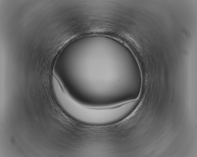 X0000115171353200911121730