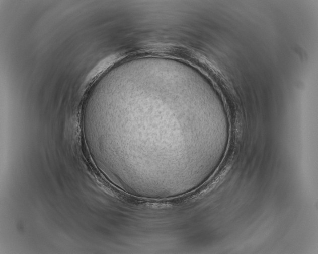 X0000115171354200911121730
