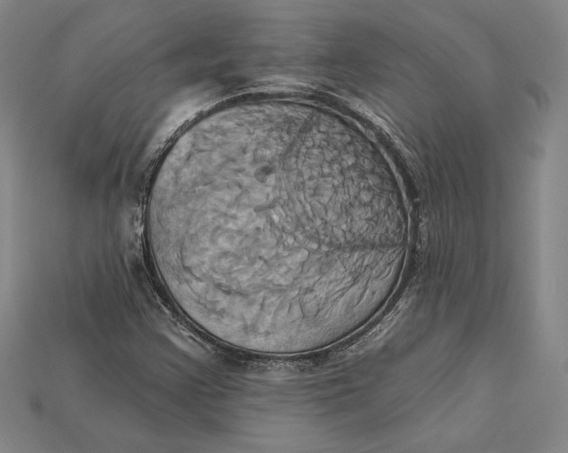 X0000115171355200911121730