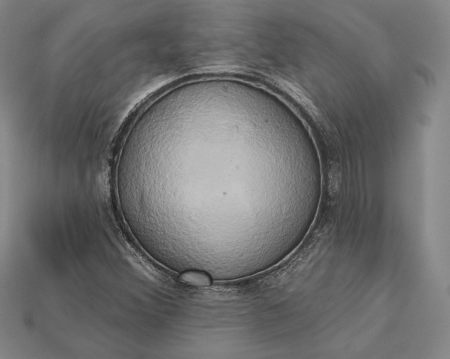 X0000115171356200911121730