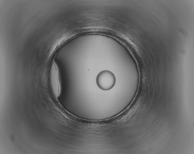 X0000115171357200911121730