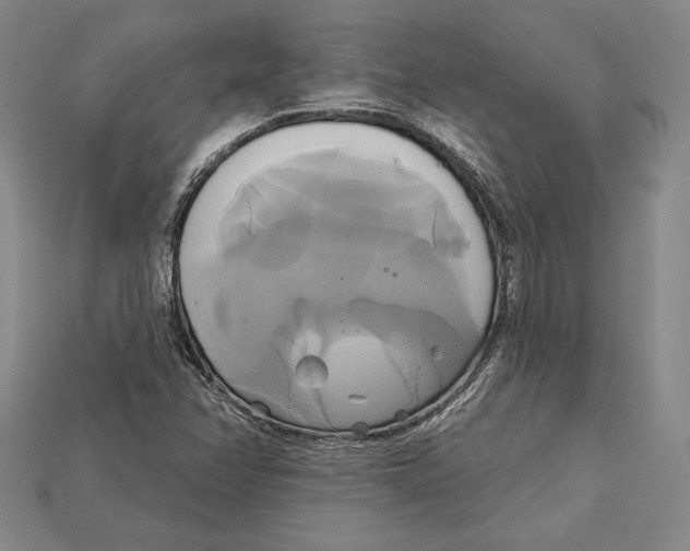 X0000115171358200911121730