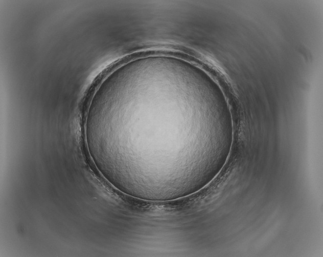 X0000115171360200911121730