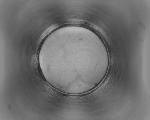 X0000115171362200911121730