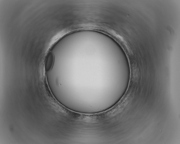 X0000115171365200911121730
