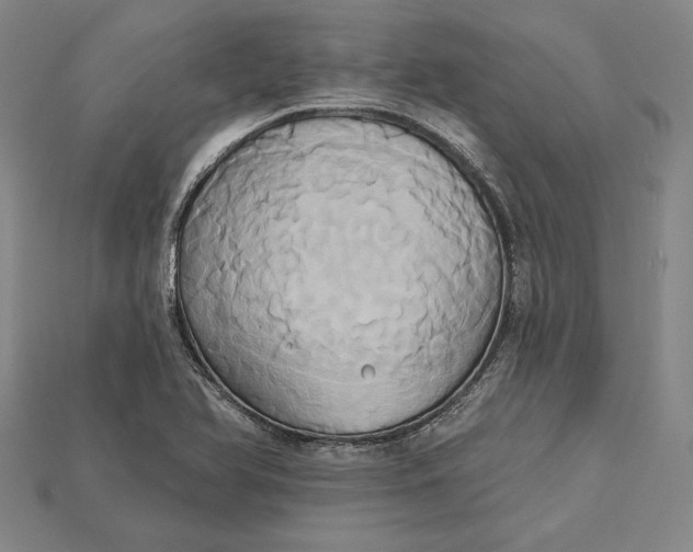 X0000115171366200911121730