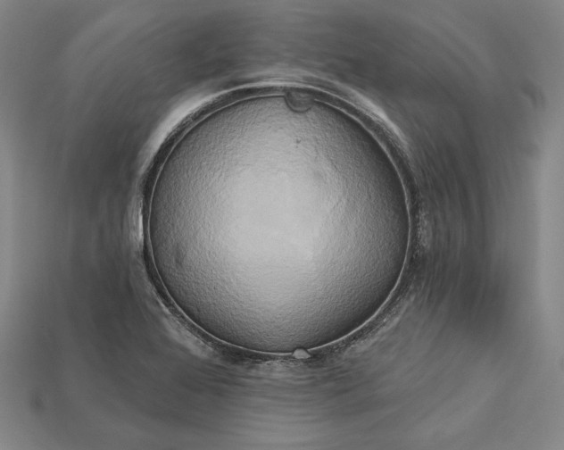 X0000115171368200911121730