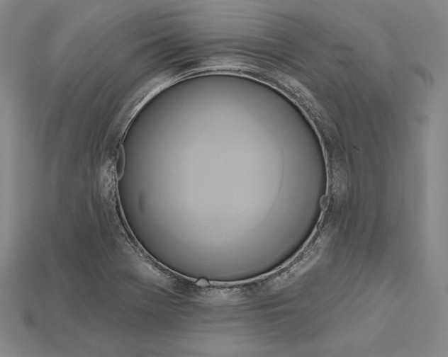 X0000115171369200911121730