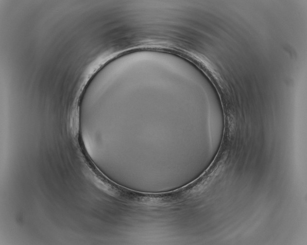 X0000115171371200911121730