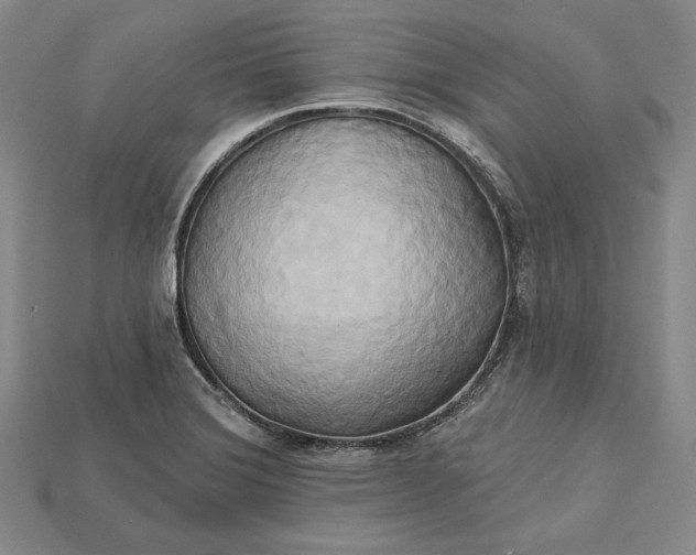 X0000115171372200911121730
