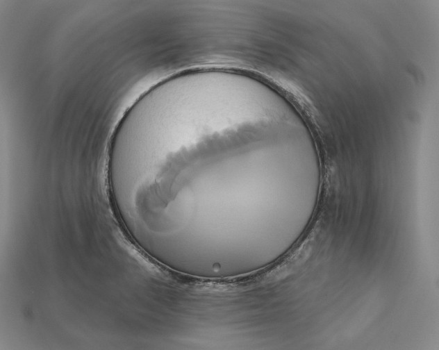 X0000115171374200911121730