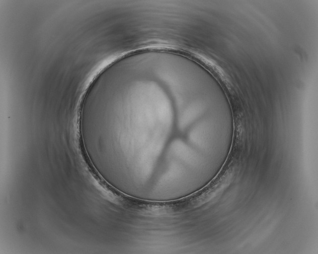 X0000115171375200911121730