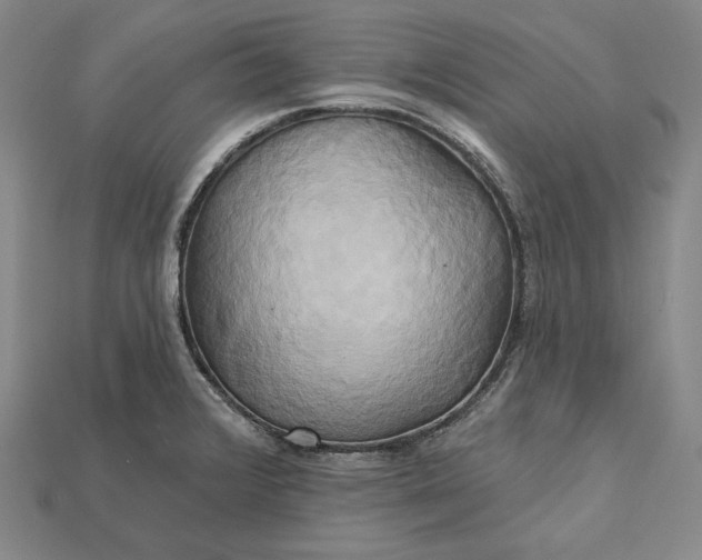 X0000115171376200911121730
