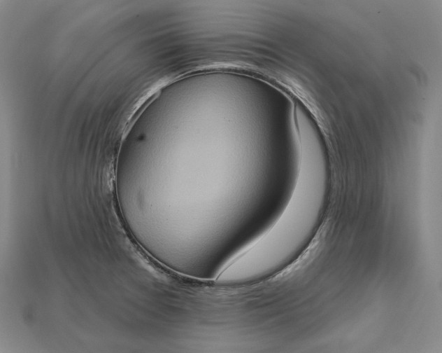X0000115171377200911121730