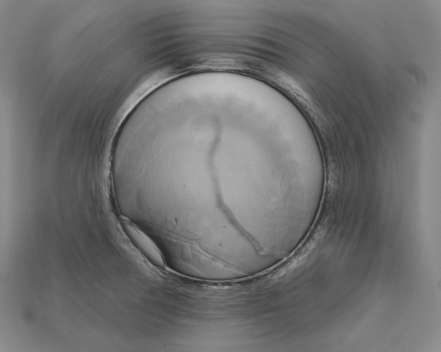 X0000115171378200911121730