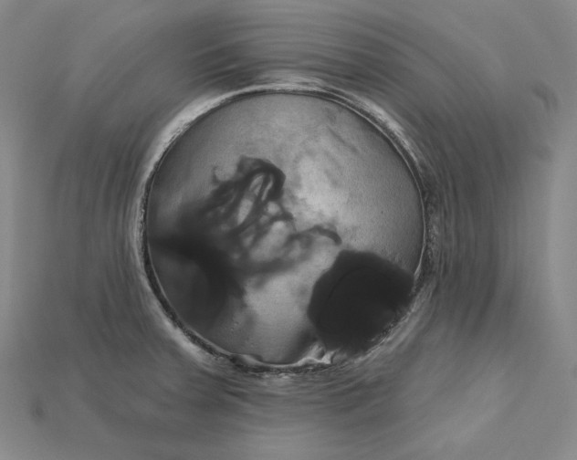 X0000115171379200911121730