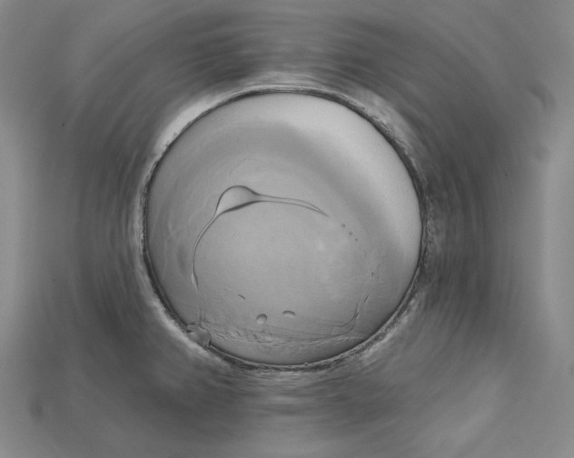 X0000115171382200911121730