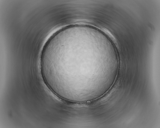 X0000115171384200911121730