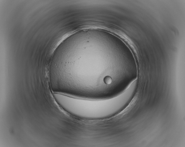 X0000115171385200911121730