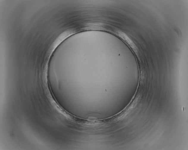 X0000115171386200911121730