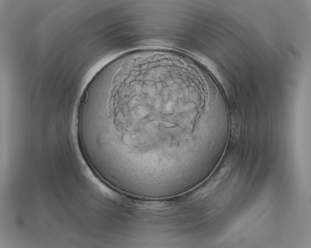 X0000115171387200911121730