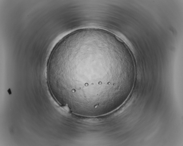 X0000115171388200911121730