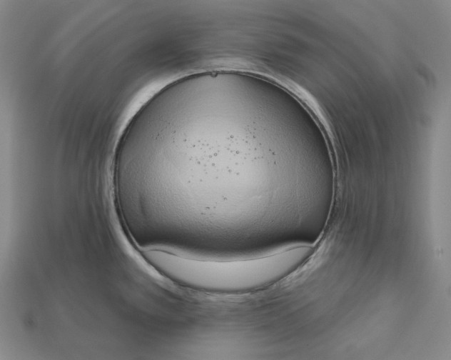 X0000115171389200911121730