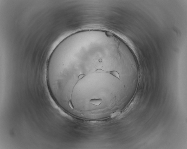 X0000115171390200911121730
