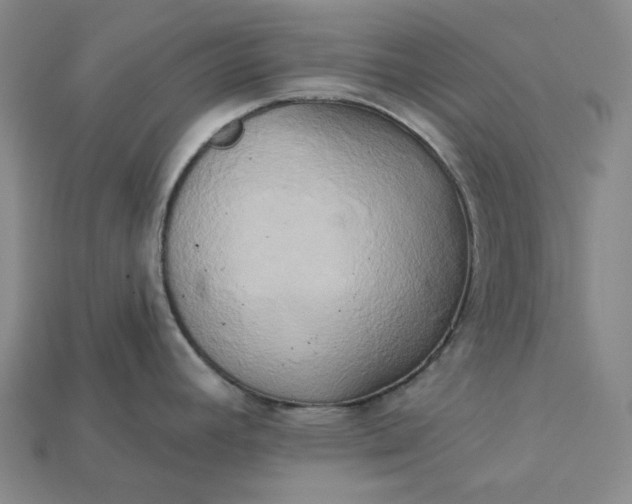 X0000115171392200911121730