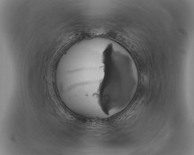 X0000115171393200911121729