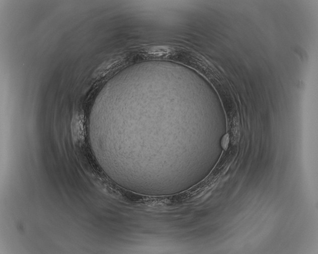 X0000115171394200911121729